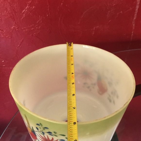 Vtg Hand Painted Parakeets Frosted Glass Ceiling Light Globe - Picture 7 of 9